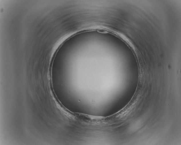 X0000073520951200608211801