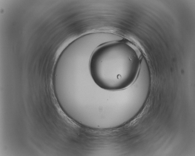 X0000073520952200608211801