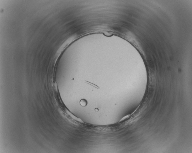 X0000073520954200608211801