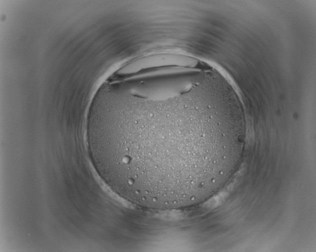 X0000073520957200608211801