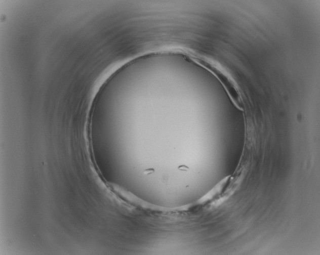 X0000073520959200608211801