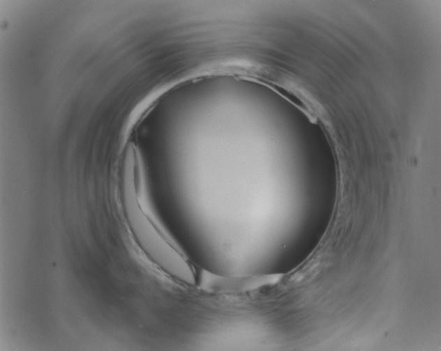 X0000073520960200608211801