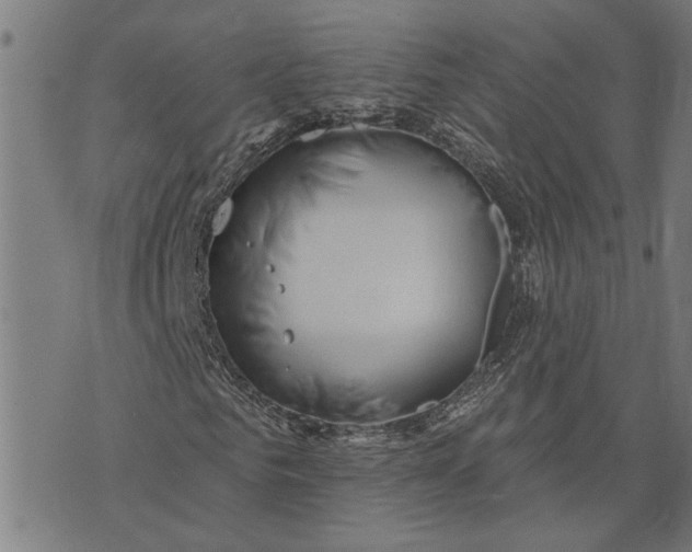 X0000073520961200608211800