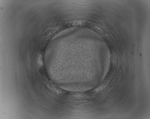 X0000073520962200608211800