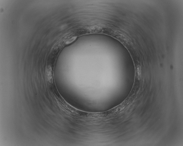 X0000073520963200608211800