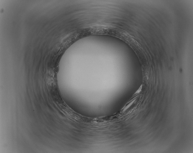 X0000073520964200608211800