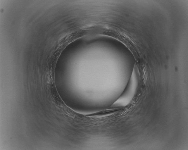 X0000073520965200608211800