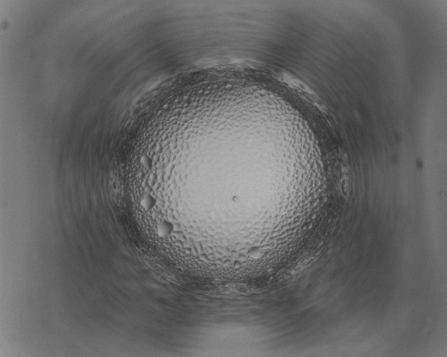 X0000073520966200608211800