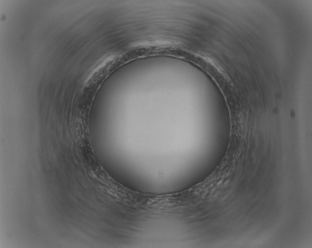 X0000073520967200608211800