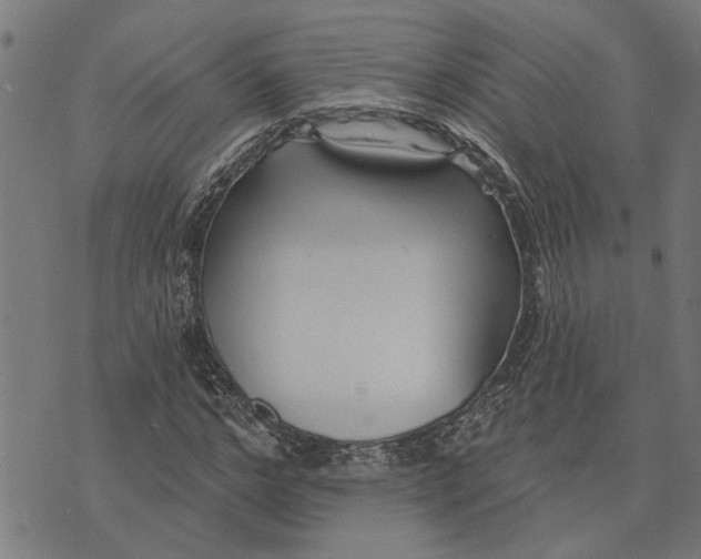 X0000073520968200608211800