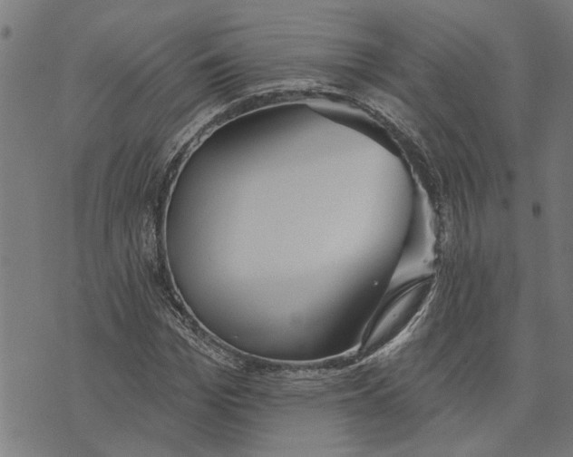 X0000073520969200608211800