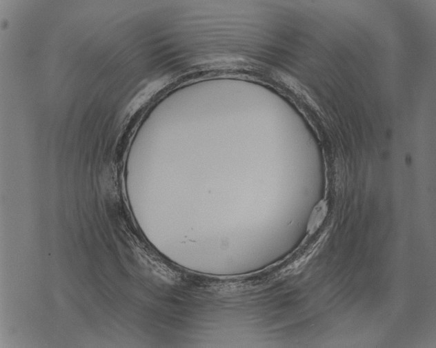 X0000073520970200608211800