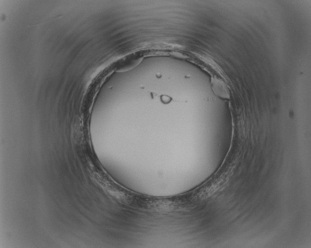 X0000073520971200608211800