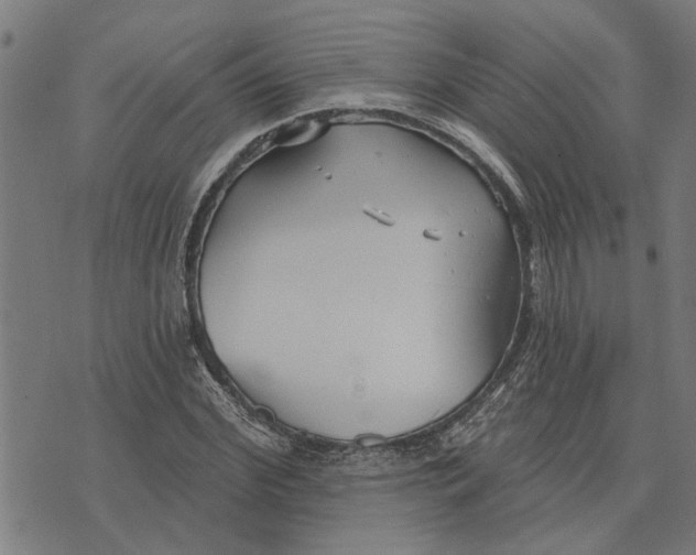 X0000073520972200608211800