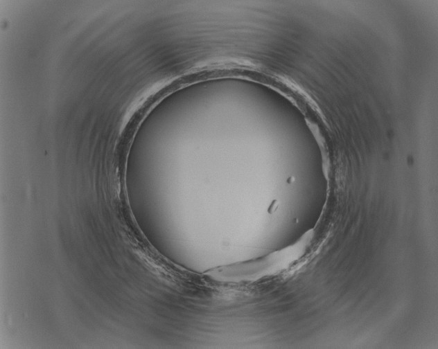 X0000073520973200608211800