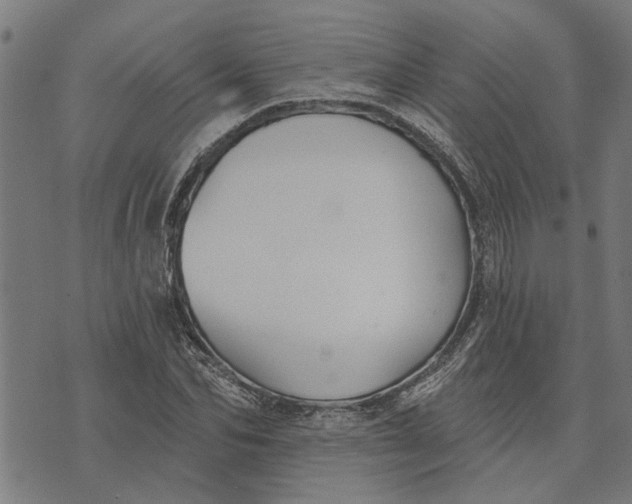 X0000073520974200608211800