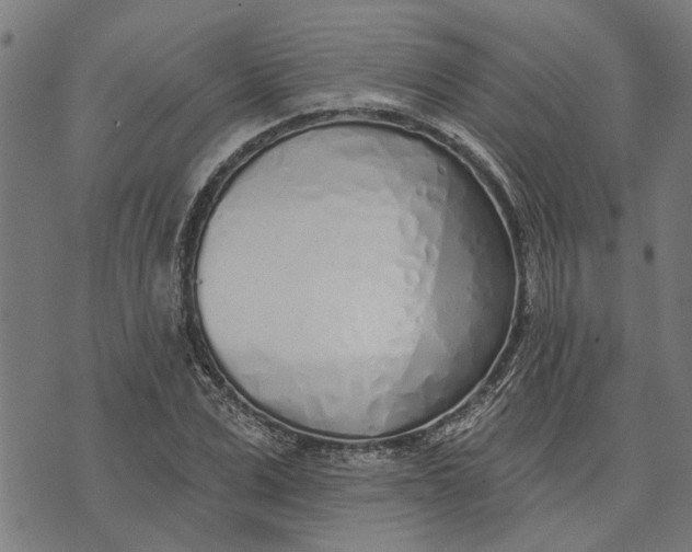 X0000073520975200608211800