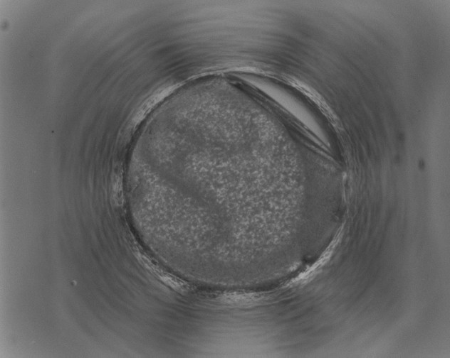 X0000073520977200608211800