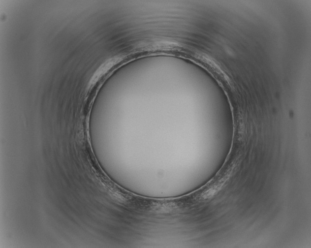 X0000073520978200608211800