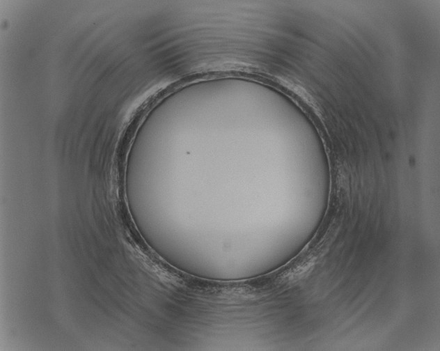 X0000073520979200608211800