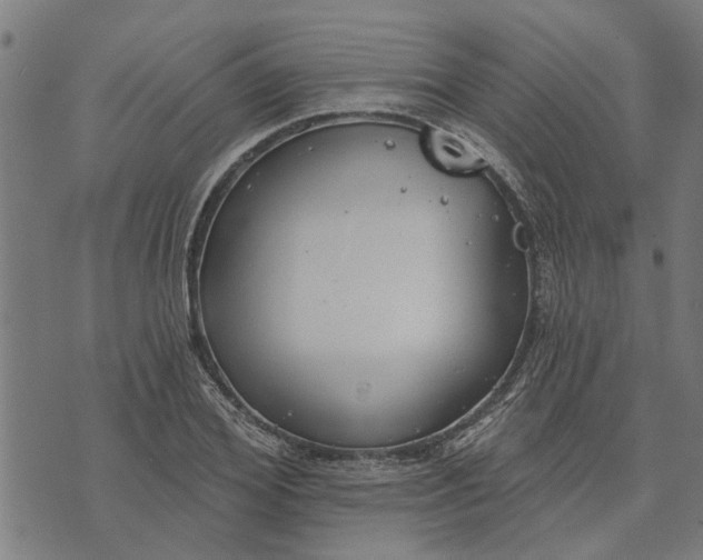 X0000073520980200608211800