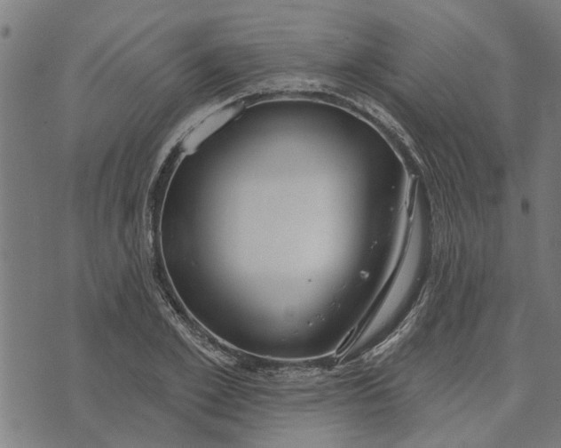 X0000073520981200608211800