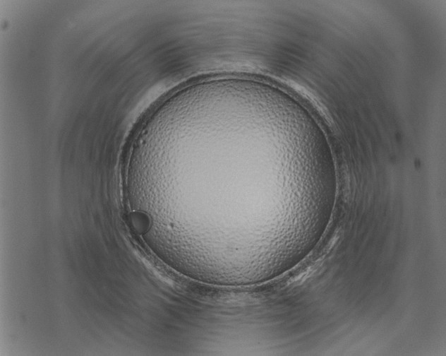 X0000073520982200608211800