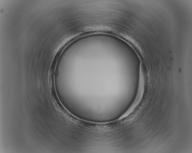 X0000073520983200608211800