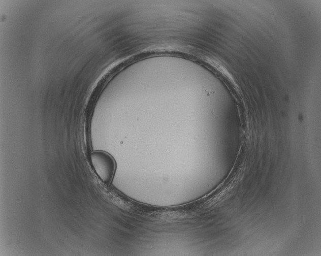 X0000073520984200608211800