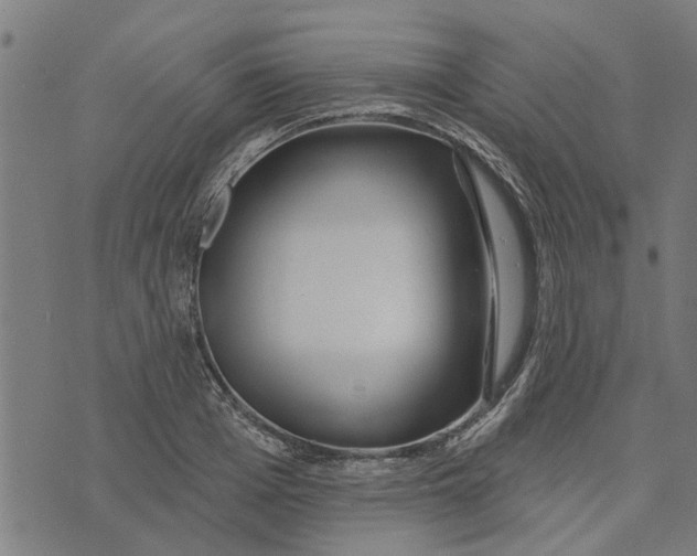 X0000073520985200608211800