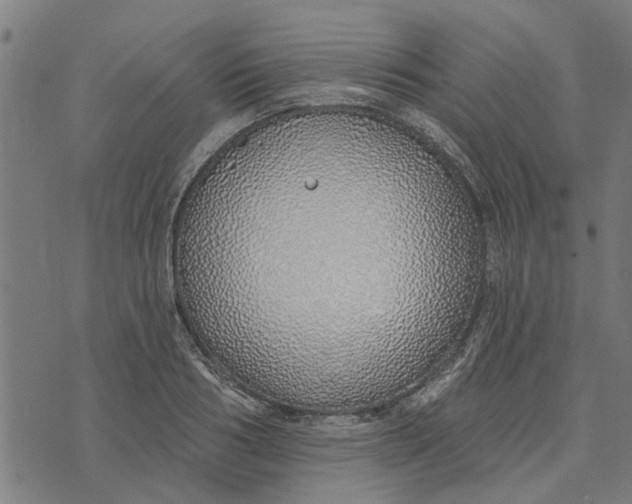 X0000073520986200608211800