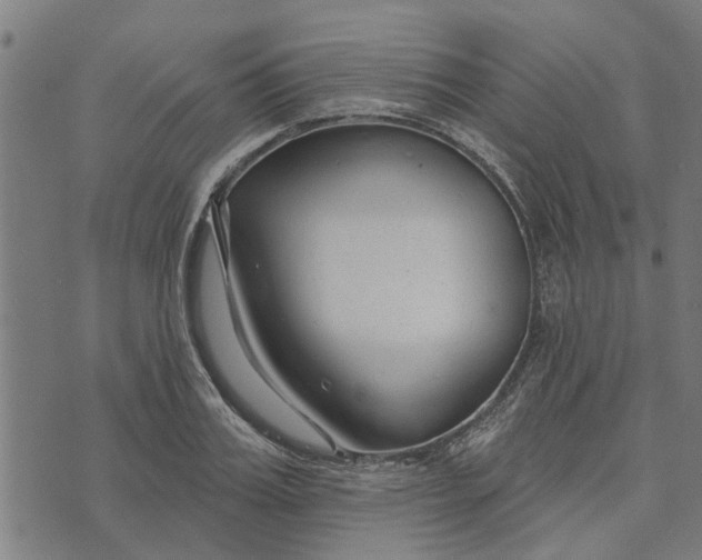 X0000073520987200608211800