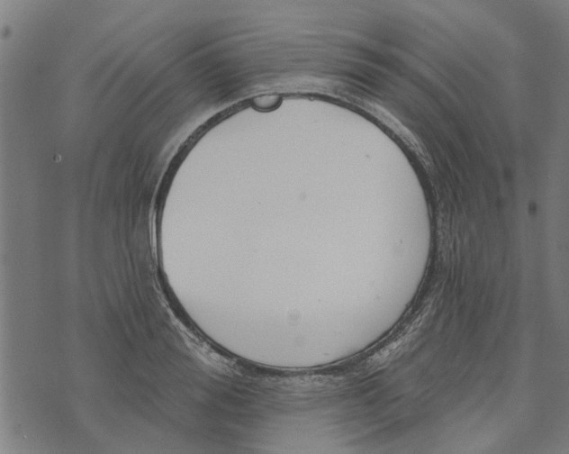 X0000073520988200608211800