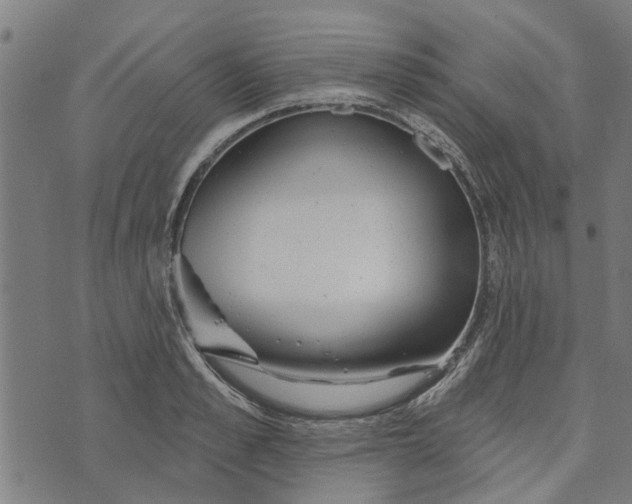 X0000073520989200608211800