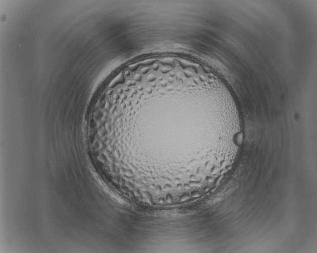 X0000073520990200608211800