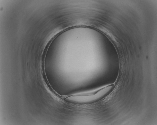 X0000073520991200608211800