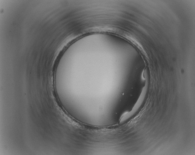 X0000073520992200608211800