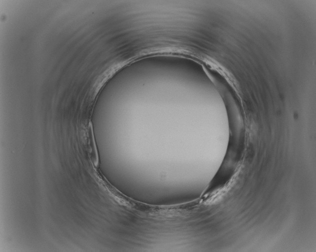 X0000073520993200608211800