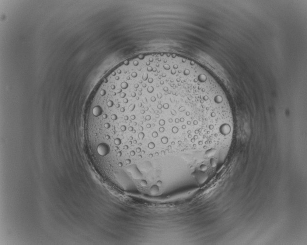 X0000073520994200608211800