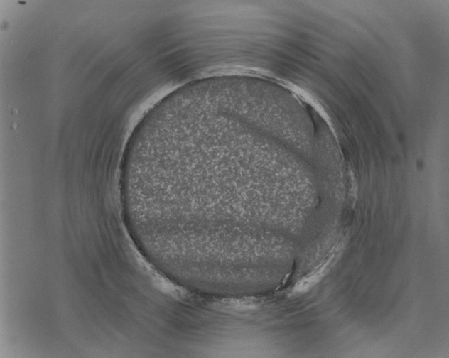 X0000073520995200608211800