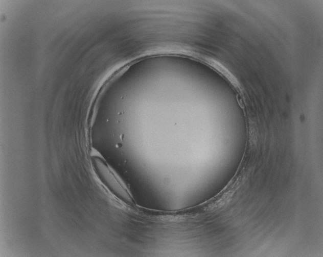 X0000073520996200608211800