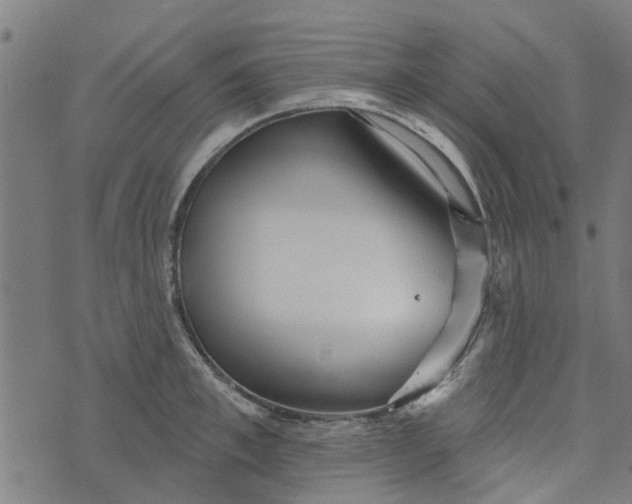 X0000073520997200608211800