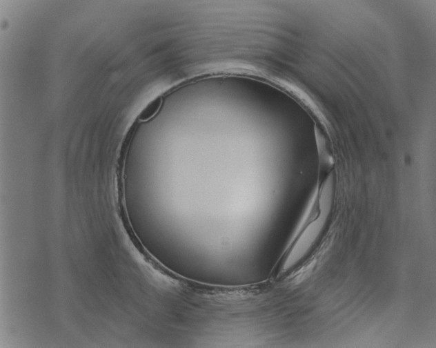 X0000073520999200608211800