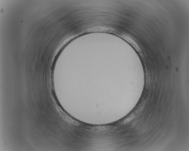 X0000073521000200608211800