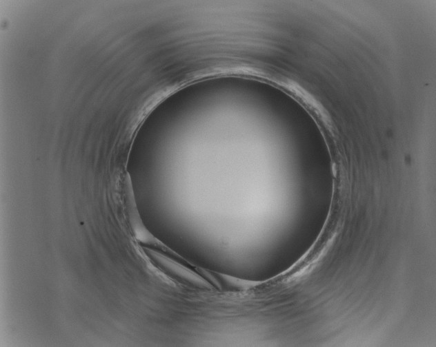 X0000073521001200608211800