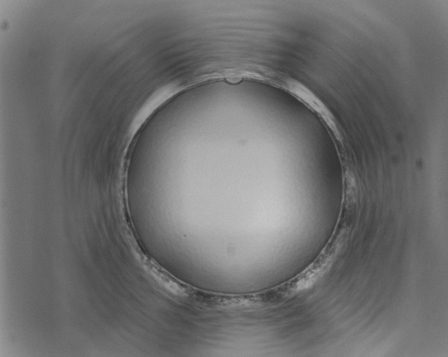 X0000073521002200608211800