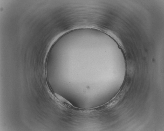 X0000073521004200608211800