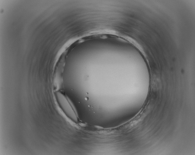 X0000073521005200608211800