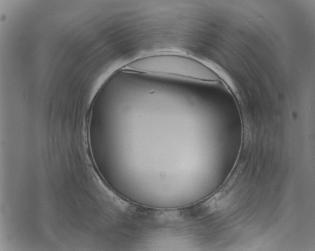 X0000073521006200608211800