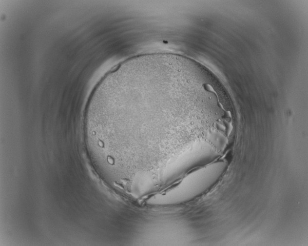 X0000073521008200608211800